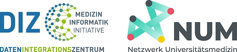 NUM-DIZ-Kombilogo